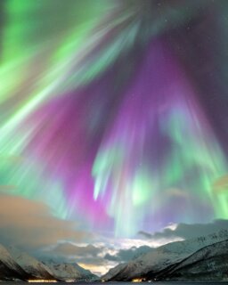 Northern Lights Tour with smallest group in Tromsø - Greenlander