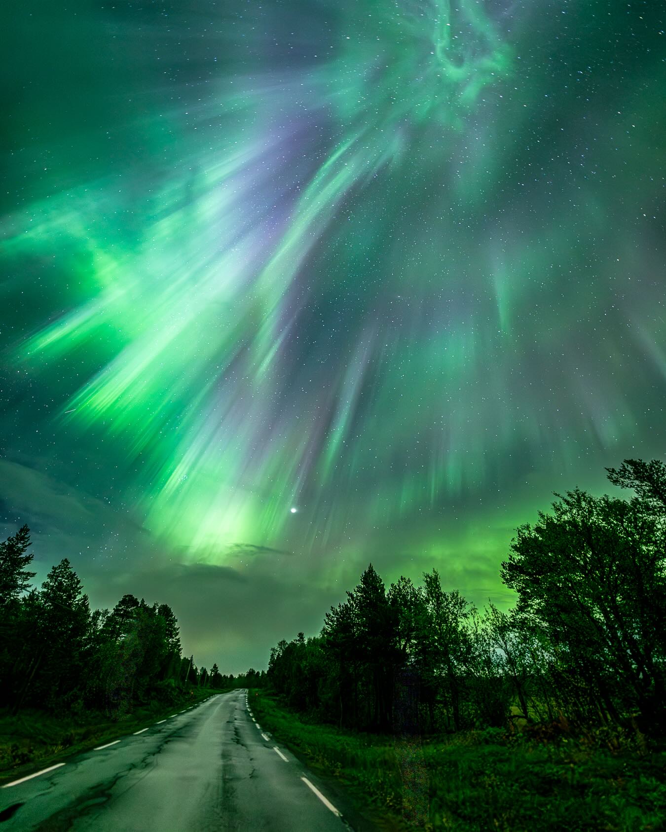 ✨The wait is almost over… Aurora season is around the corner! 🌌💚
Since 2014, we’ve been guiding travelers through Tromsø’s magical Arctic nights, and we can’t wait to do it all over again. Every season feels like the first—filled with excitement, wonder, and the joy of sharing the northern lights with you. ❄️✨

Are you ready to chase the aurora with us? 💫

#NorthernLights #AuroraBorealis #Tromsø #ArcticMagic #AuroraChasing