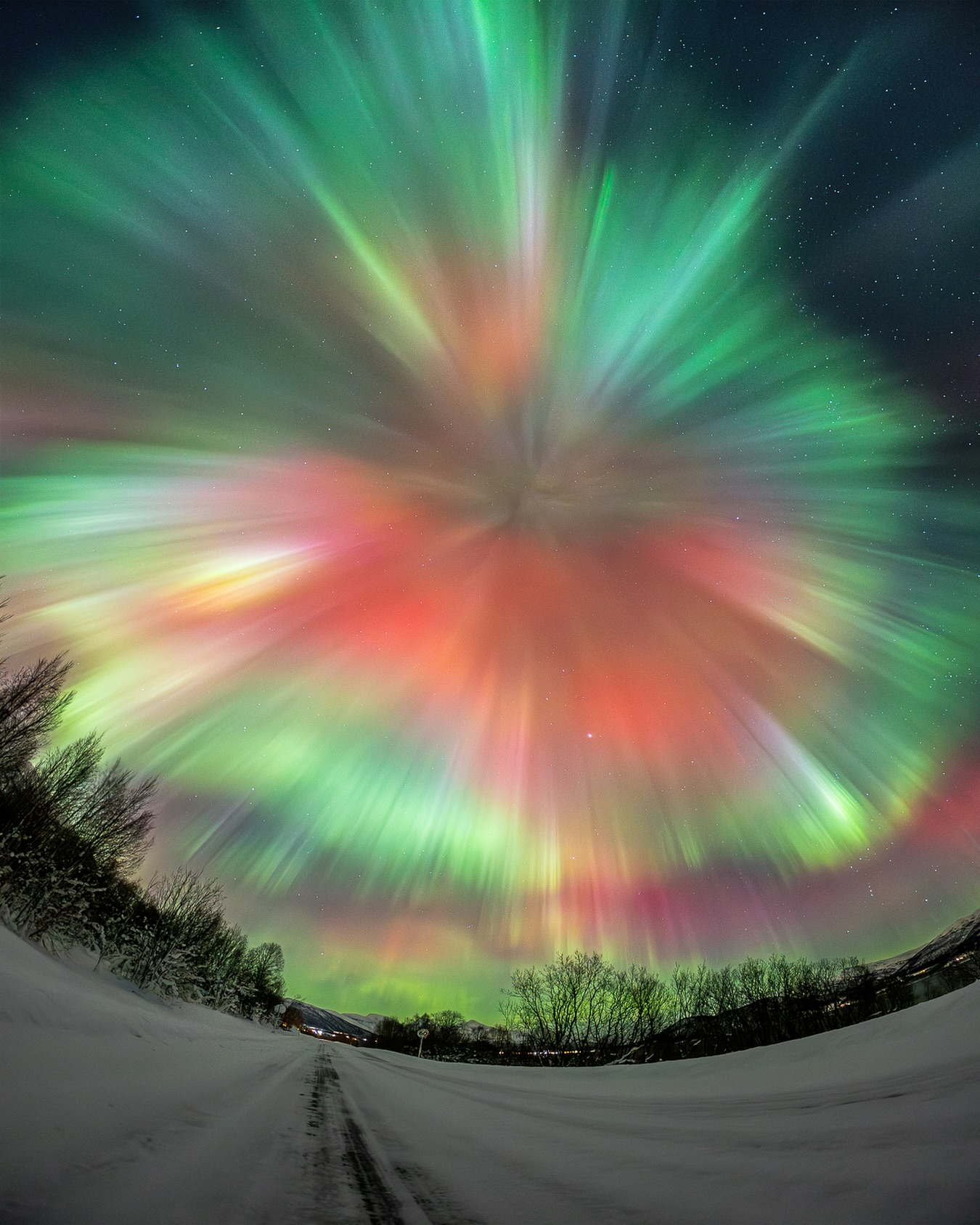 It’s been a while since our last post. But we’re running at full capacity with the best team in Tromsø and ready to take you there. 

📸 Image from January 10th.

See you out there. @greenlander_tromso