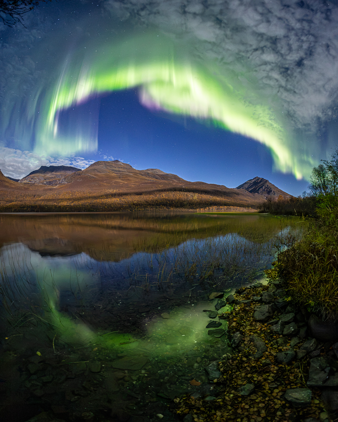 Last night was a perfect example, why September is my personal favourite month for Aurora chasing. 

Reflections, reflections and one more time - reflections!! 😍😍😍

Photo looks like a daytime and this is due to strong moon. If you are a photographer and want to make most out of your stay in Tromsø, do join us. 😎

www.greenlander.no

#tromsotour, #auroraborealis, #tromso, #northernlights, #arcticlife